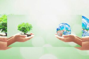 rotulagem ambiental