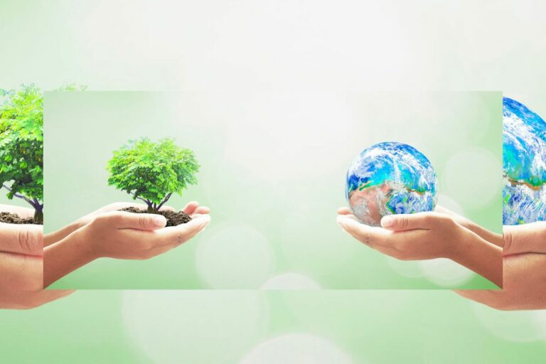 rotulagem ambiental