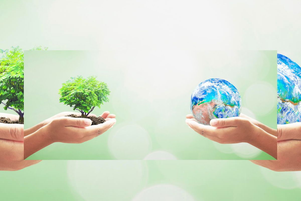 rotulagem ambiental